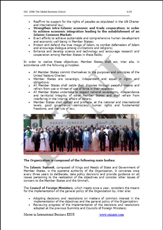 伊斯兰会议组织 (OIC)